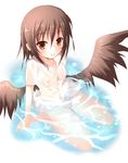  bad_id bad_pixiv_id breasts brown_eyes brown_hair dress_shirt efe face looking_at_viewer nipples no_hat no_headwear no_pants panties see-through shameimaru_aya shirt small_breasts smile solo submerged touhou underwear water wet wet_clothes wings 