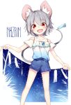  1girl :d absurdres alternate_costume animal_ears blue_shorts commentary_request gradient_clothes gradient_shirt grey_hair highres holding holding_with_tail kibayashi_kimori looking_at_viewer mouse_ears mouse_girl mouse_tail nazrin off-shoulder_shirt off_shoulder open_mouth prehensile_tail red_eyes shirt short_hair short_sleeves shorts sky smile solo star_(sky) starry_sky tail tanabata tanzaku touhou 