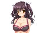  1girl aomi_riru black_bra black_hair blush bra breasts cleavage closed_mouth collarbone frilled_bra frills game_asset hair_between_eyes hair_ribbon kogure_miori large_breasts large_variant_set long_hair looking_at_viewer non-web_source official_art ribbon self-datamine sidelocks simple_background smile solo standing tachi-e transparent_background two_side_up underwear underwear_only upper_body variant_set white_ribbon yellow_eyes yumemi_ga_cheek! 