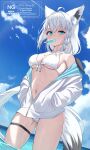  1girl ahoge alternate_costume animal_ear_fluff animal_ear_piercing animal_ears ass_visible_through_thighs bikini bikini_under_clothes bird blue_eyes blue_sky braid breasts commentary crossed_bangs fluid_on_breasts food food_in_mouth fox_ears fox_girl front-tie_bikini_top front-tie_top hair_intakes hands_in_pockets highres hololive jacket long_hair long_sleeves looking_at_viewer looking_down low-tied_long_hair medium_breasts navel outdoors partially_unzipped popsicle popsicle_in_mouth shirakami_fubuki single_braided_sidelock sky solo string_bikini swimsuit ta_shiuji30 thigh_strap triangle_bikini_top twitter_username two-sided_fabric two-sided_jacket underboob uneven_eyes very_long_hair virtual_youtuber wading water watermark wet white_bikini white_hair white_jacket 