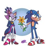  absurd_res anthro blaze_the_cat clothing domestic_cat duo eulipotyphlan felid feline felis female flower footwear green_eyes hedgehog hi_res love male male/female mammal nervous plant red_clothing red_footwear red_shoes sega shoes simple_background sonic_the_hedgehog sonic_the_hedgehog_(series) surprised_expression yellow_eyes zettoart 