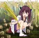  1girl :d ^_^ ahoge bangs blue_skirt brown_footwear brown_hair closed_eyes commentary_request day facing_viewer headgear highres holding japanese_clothes kimono lamb_(hitsujiniku) long_hair long_sleeves notice_lines outdoors pleated_skirt rice skirt smile solo squatting tabi touhoku_kiritan twintails voiceroid white_kimono white_sleeves wide_sleeves zouri 