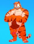  absurd_res anthro balls chest_tuft crossed_arms erection felid genitals hairy_stomach hi_res looking_at_viewer male mammal musclegut muscular notsafeforroyer pantherine penis pubes slightly_chubby solo tiger tuft vein veiny_penis 