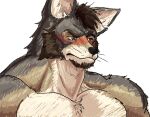  anthro barazoku beard black_nose blush body_hair brown_hair canid canine canis chest_hair coyote digital_drawing_(artwork) digital_media_(artwork) ear_hair echo_(series) echo_project eyebrows facial_hair fur grey_body grey_fur hair hairy hi_res looking_away male mammal mature_anthro mature_male mostly_nude muscular pecs pinumontbalou simple_background solo the_smoke_room thinking video_games visual_novel white_body white_fur william_adler yellow_body yellow_eyes yellow_fur 