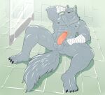  abs anthro balls bathroom biceps big_muscles canid canine canis casual_nudity deltoids detailed_background feet fur genitals grey_body grey_fur humanoid_genitalia humanoid_hands humanoid_penis lying lying_on_floor male mammal muscular muscular_anthro muscular_male nipples nude on_back pecs penis rikitsu solo solo_focus spread_legs spreading toes wolf wolfgang_von_kraftman 