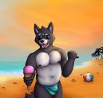  absurd_res adastra adastra_(series) amicus_(adastra) anthro ball beach body_hair canid canine canis chest_hair clothing dessert echo_project eyewear father food fur glasses grey_body grey_fur hi_res ice_cream jebbthefoxy male mammal parent seaside solo sunset thong underwear video_games visual_novel white_body white_fur wolf 