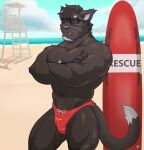  anthro beach bulge chest_tuft clothing crossed_arms eyewear felid feline frown hi_res lifeguard_tower looking_at_viewer male mammal muscular seaside solo speedo sunglasses surfboard swimwear tuft wolfybuns 