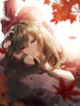  1girl blurry blurry_foreground closed_mouth frilled_ribbon frills green_eyes green_hair hair_ribbon highres kagiyama_hina leaf long_hair looking_at_viewer maple_leaf red_ribbon ribbon touhou tsuyuji_shigure 