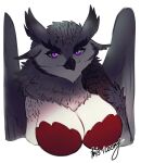  anthro avian beak bird bra breasts bust_portrait claws cleavage clothed clothing feathered_wings feathers female gryphon hi_res iris-icecry looking_at_viewer mythological_avian mythology owl portrait purple_eyes scuted_arms scutes snowfall_(terrorwing) solo underwear wings 