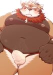  2022 anthro belly big_belly blush brown_body bulge canid canine clothed clothing dosanco15 erection erection_under_clothing hi_res humanoid_hands kemono male mammal moobs navel nipples overweight overweight_male solo underwear 