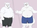  2022 anthro belly big_belly bottomwear canid canine canis clothing domestic_dog hi_res humanoid_hands inunoshippo kemono male mammal moobs navel nipples overweight overweight_male pants shirt shorts solo topwear 