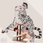  absurd_res anal felid herm hi_res human intersex invalid_tag mammal pantherine standing taur tiger training 