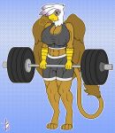  abs absurd_res anthro anthrofied avian big_breasts breasts camel_toe cleavage clothed clothing deadlift exercise female flashing friendship_is_magic gilda_(mlp) gryphon hasbro hi_res huge_breasts jbgryph looking_at_viewer muscular muscular_female my_little_pony mythological_avian mythology smile solo weightlifting workout 