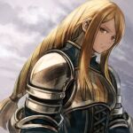  1girl agrias_oaks armor blonde_hair braid braided_ponytail brown_eyes closed_mouth cloud final_fantasy final_fantasy_tactics knight long_hair looking_at_viewer low-tied_long_hair single_braid solo sushi_(sashimise) 