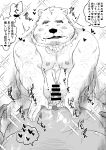  2022 anthro belly big_belly blush bodily_fluids cum duo erection eyes_closed genital_fluids genitals hi_res humanoid_hands japanese_text kemono male mammal monochrome moobs nipples overweight overweight_male penis shintatokoro solo_focus text ursid 