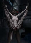 5_fingers anal anal_penetration animal_genitalia animal_vulva anthro anthro_on_anthro anthro_penetrated anthro_penetrating anthro_penetrating_anthro anus ball_gag balls bdsm black_body black_fur black_hair black_nose blindfold bondage bound breasts butt canid canine canis duo equid equine equine_genitalia equine_vulva erection faux_gaping faux_gaping_pussy female female_penetrated fingers fur gag gagged genitals hair hi_res hooves humanoid_hands interspecies male male/female male_penetrating male_penetrating_female mammal navel nipples nude nude_anthro nude_female nude_male penetration penile penile_penetration penis penis_in_ass restraints rope rope_bondage sex spread_vulva spreading statik striped_body striped_fur stripes suspension suspension_bondage vulva white_body white_fur wolf wrists_to_ankles zadee zebra