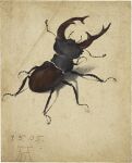 1505 16th_century absurd_res albrecht_durer ambiguous_feral ambiguous_gender ancient_art antennae_(anatomy) arthropod arthropod_abdomen beetle black_body black_exoskeleton brown_body brown_exoskeleton dated detailed exoskeleton feral gouache_(artwork) hexapod hi_res insect mandibles mixed_media multicolored_body painting_(artwork) segmented_body signature simple_background solo stag_beetle traditional_media_(artwork) traditional_painting_(artwork) traditional_watercolor_(artwork) two_tone_body watercolor_(artwork)
