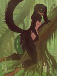 3:4 absurd_res anal anal_infestation anal_inflation anal_penetration anal_vore angel_shadow anthro black_body black_fur breasts candle canid canine canis claw_marks dachshund darkwood domestic_dog duo female floppy_ears fluffy fluffy_tail forced foxeylady fungus fur furless_belly furless_breasts goo_creature grass hi_res holding_belly hunting_dog infestation inflation kneeling long-haired_dachshund mammal mushroom open_mouth parasite penetration plant rape roots scared sex slime small_breasts stretched_anus swamp tail tawny_fur vore