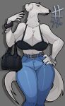 absurd_res anthro belt big_breasts borzoi bottomwear bracelet breasts canid canine canis chest_tuft clothing denim denim_bottomwear denim_clothing domestic_dog eyebrows female floppy_ears fluffy fluffy_tail freckles grey_eyes hand_on_hip hi_res huge_breasts hunting_dog jeans jewelry lips long_neck long_tail mammal nails neck_tuft pants purse sighthound solo tail thick_eyebrows thick_lips topwear tuft wristband zzzilart