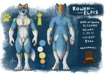 2018 animal_genitalia anthro balls blue_body blue_claws blue_eyes blue_fur canid canine chest_markings claws dated facial_markings finger_claws front_view fully_sheathed fur genitals glistening glistening_eyes gloves_(marking) hair head_markings hufnaar leg_markings looking_at_viewer male male_anthro mammal markings messy_hair model_sheet mouth_closed nude orange_hair orange_pawpads pawpads rear_view rowen_elpis sheath short_hair signature socks_(marking) solo standing toe_claws white_balls white_body white_fur white_markings white_sheath yellow_markings