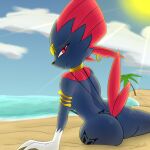 1:1 anthro anthrofied armlet beach biped bodily_fluids breasts butt clothing cloud colored darellzark_(artist) digital_media_(artwork) ear_piercing ear_ring female female_anthro generation_4_pokemon hi_res jewelry light light_beam looking_at_viewer looking_back looking_back_at_viewer neck_ring nintendo one-piece_swimsuit palm_tree piercing plant pokemon pokemon_(species) pokemorph red_eyes ring_piercing seaside shaded side_boob sky sling_bikini solo sun sunbeam sunlight sweat sweaty_butt sweaty_face swimwear tree water weavile