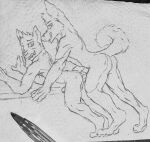  absurd_res anal anal_penetration anthro canid canine doggystyle duo from_behind_position hi_res male male/male mammal penetration sex sketch_page wolfyalex96 