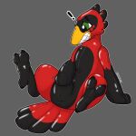  animate_inanimate avian bird green_eyes hi_res inflatable living_inflatable null_bulge permagrin pool_toy red_body shocked_expression symrea tagme 