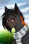  2017 black_hair blue_sky bust_portrait cheek_tuft dated eyelashes facial_tuft female feral fur glistening glistening_eyes grass grey_body grey_fur grey_scarf hair hi_res looking_at_viewer neck_tuft orange_body orange_fur outside plant portrait red_eyes santanahoffman scarf signature sky smile solo tuft white_scarf 