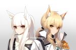  2girls animal_ear_fluff animal_ears arknights armor bangs blunt_bangs brown_eyes commentary gradient gradient_background grey_background high_collar horse_ears jacket long_hair looking_at_viewer multiple_girls nearl_(arknights) nearl_the_radiant_knight_(arknights) pauldrons platinum_(arknights) shoulder_armor smile supershrimpcakes white_hair white_jacket yellow_eyes 