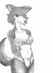  absurd_res anthro beastars bedroom_eyes bra canid canine canis cheek_tuft clothing collarbone efradraws facial_tuft female fur graphite_(artwork) hands_behind_back hi_res juno_(beastars) lace lace_bra lace_panties mammal multicolored_body multicolored_fur narrowed_eyes navel pencil_(artwork) seductive sketch solo traditional_media_(artwork) tuft two_tone_body two_tone_fur underwear wolf wolf_tail 