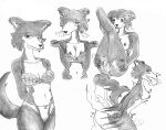  absurd_res anthro beastars blush blush_lines bra breast_squish breasts canid canine canis cheek_tuft clothing doggystyle duo efradraws facial_tuft female from_behind_position genitals hi_res human human_on_anthro interspecies juno_(beastars) male male/female mammal navel penetration pussy sex spread_pussy spreading squish steam tuft underwear undressed undressing vaginal vaginal_penetration wolf 