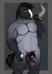  animal_genitalia anthro balls cigar cynphira digital_media_(artwork) equid equine exposed flaccid fur genitals grey_body grey_fur hair hi_res holding_object horse lighter looking_at_viewer male mammal mane musclegut muscular nipples nude penile penis simple_background smoke smoking solo solo_focus standing 