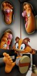  5_toes absurd_res amy_rose anthro clothing duo feet feetymcfoot female female/female foot_fetish foot_focus foot_play hi_res humanoid_feet inside_clothing inside_shoe insole micro sega sonic_boom sonic_the_hedgehog_(series) sticks_the_jungle_badger toes trapped_in_clothing trapped_in_shoe underfoot 