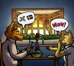  aircraft airplane anthro canid canine canis clothing domestic_dog duo evening flag flower food fox fruit fur hi_res jebbthefoxy jebby kadzoo male male/male mammal plant romantic romantic_ambiance romantic_dinner rose_(flower) shiba_inu shirt speech_bubble spitz sun sweden text ticket topwear yellow_body yellow_fur 