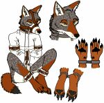  anthro bdsm bondage bound canid canine canis cathodeglow chastity_belt chastity_cage chastity_device collar coyote cuff_(restraint) fur grey_body grey_fur handpaw hindpaw male mammal metal_collar metal_cuffs muzzle_(object) muzzled pawpads paws red_body red_fur restraints solo straitjacket 