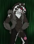 anthro bottomwear bottomwear_down clothed clothing erection generation_8_pokemon grass hi_res humanoid_genitalia lewd_latte male nintendo obstagoon open_bottomwear open_clothing open_pants pants pants_down partially_clothed plant pokemon pokemon_(species) solo tongue tongue_out video_games 