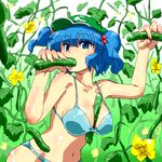  between_breasts bikini blue_eyes blue_hair breasts cucumber eating flower gomi_ichigo hair_bobbles hair_ornament hat kawashiro_nitori long_hair sexually_suggestive solo swimsuit touhou twintails two_side_up 