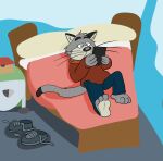  2021 3_toes 4_fingers anthro bed bedroom bottomwear brok_the_investigator clothing detailed_background domestic_cat feet felid feline felis fingers furniture graff_filsh grey_body hi_res hoodie humanoid_hands inside jolly_the_lizard jollyville lying mammal pants solo toes topwear video_games 