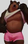  2022 absurd_res anthro artbymashy belly black_nose boxer_briefs brown_body brown_countershading brown_fur bulge clothed clothing clothing_lift colored countershade_torso countershading fur gesture hi_res male mammal multicolored_body multicolored_fur muscular muscular_male muscular_thighs navel nipples pink_boxer_briefs pink_clothing pink_nipples pink_underwear portrait shirt shirt_lift simple_background smile solo tank_top three-quarter_portrait thumbs_up topwear two_tone_body two_tone_fur underwear ursid whiskers white_background white_clothing white_shirt white_tank_top white_topwear white_whiskers 