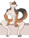  anthro brown_body brown_fur canid canine canis claws coyote digitigrade fur hi_res jrjresq male mammal muscular muscular_anthro muscular_male nude solo toe_claws yellow_sclera 