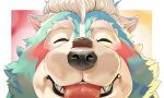  1boy animal_ears animal_nose blue_fur border chocolate close-up closed_eyes commentary facial_mark fangs furry furry_male fute_(mti777) male_focus oguchi_magami outside_border short_hair snout solo thick_eyebrows tokyo_afterschool_summoners tongue tongue_out two-tone_background white_border white_fur white_hair wolf_boy wolf_ears 