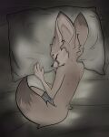  anthro bed bodily_fluids canid canine cdt2s fennec fox furniture male mammal on_bed sleeping solo tears 