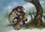  anthro black_body black_fur canid canine canis claws fangs fence fur grass hi_res male mammal open_mouth plant solo stumpyfongo teeth tongue tree were werecanid werecanine werewolf white_body white_fur wolf 