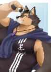  anthro blush brown_body brown_fur canid canine canis clothing domestic_dog eyewear fur grin hi_res ioenami88 jewelry lifewonders live-a-hero male mammal muscular muscular_anthro muscular_male necklace pecs pubraseer shirt smile solo sunglasses tank_top topwear video_games 