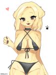  1girl :3 animal_ears animal_hands animal_nose arm_at_side ass_visible_through_thighs bikini black_bikini black_choker black_eyes blonde_hair blush body_fur breasts cameltoe choker claws commentary_request cowboy_shot dog_ears dog_girl english_text fangs forehead front-tie_bikini_top front-tie_top furry furry_female groin hand_up happy heart highres korean_commentary large_breasts looking_at_viewer medium_hair milestone_celebration navel open_mouth original paw_print pawpads sami_(yaonga797) shiny shiny_skin side-tie_bikini_bottom sidelocks simple_background skindentation smile solo standing stomach straight-on string_bikini swimsuit wet white_background yellow_fur 