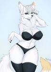  5_fingers anthro artist_name big_breasts black_bottomwear black_bra black_clothing black_legwear black_nose black_panties black_stockings black_topwear black_underwear blue_eyes bottomwear bra breasts canid canine chest_tuft claws cleavage clothed clothing digital_media_(artwork) eyelashes female fingers fox fumonpaw fur hair half-closed_eyes hi_res legwear lingerie looking_at_viewer mammal narrowed_eyes navel panties simple_background smile solo stockings thigh_highs topwear tuft underwear white_body white_fur white_hair 