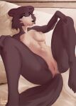  anthro anus beastars blue_eyes breasts brown_body brown_fur canid canine canis female fur genitals hi_res juno_(beastars) limoncella lying mammal nails nipples nude on_back pillow pussy solo wolf 