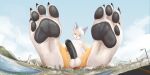  4_toes absurd_res anthro barefoot black_pawpads building canid canine city cityscape claws erection feet foot_fetish fox fur genitals girly hi_res humanoid_genitalia humanoid_penis landscape macro male mammal micro nude pawpads paws penis soles solo solutionwcs toes white_body white_fur yellow_body yellow_eyes 