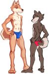  anthro balls_outline bulge canid canine canis clothed clothing countershade_face countershade_fur countershade_torso countershading domestic_dog duo fur genital_outline male mammal multi_nipple nipples penis_outline skullwomb 