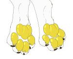  akatosh animated anthro canid canine claws fox fur hi_res male mammal mituni_(artist) paw_shot pawpads solo white_body white_fur yellow_pawpads yellow_paws 